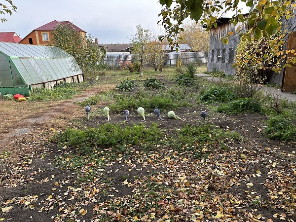 3-к квартира в коттедже, 66 кв.м., 1/2 эт.