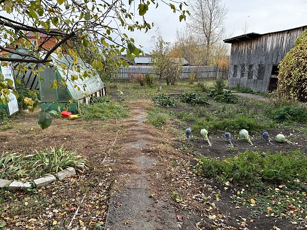 3-к квартира в коттедже, 66 кв.м., 1/2 эт.