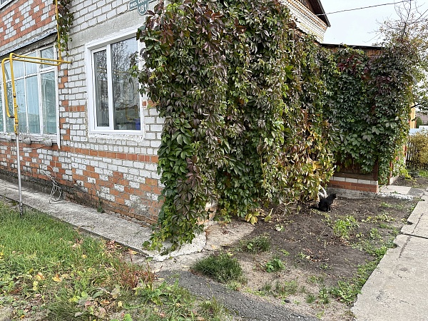 3-к квартира в коттедже, 66 кв.м., 1/2 эт.